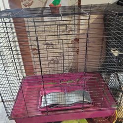 Guinea Pig cage. 2 floors 30x30