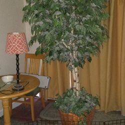 Fake Tree Plant