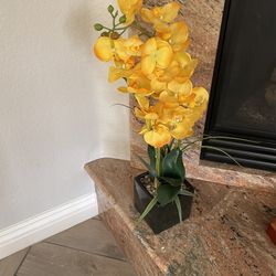 Floral Decir