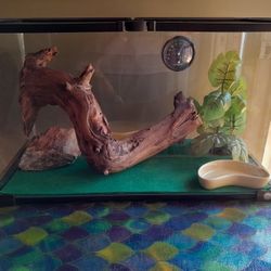 Pet Supplies Terrarium Reptile Heat Pad Thermostat Hobbies Entertainment 