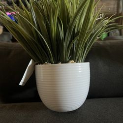 Artificial Decor Plant 
