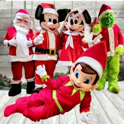 Christmas Mascot Costumes - From $550 Each