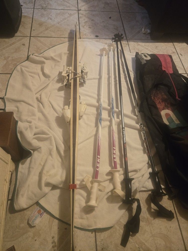 Skies With Poles Carry Bag Accepting Offer