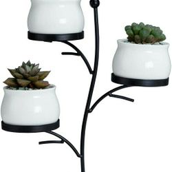 3 Pcs Ceramic Succulent Planter Pots with Metallic Stand and Watering Drain Holes