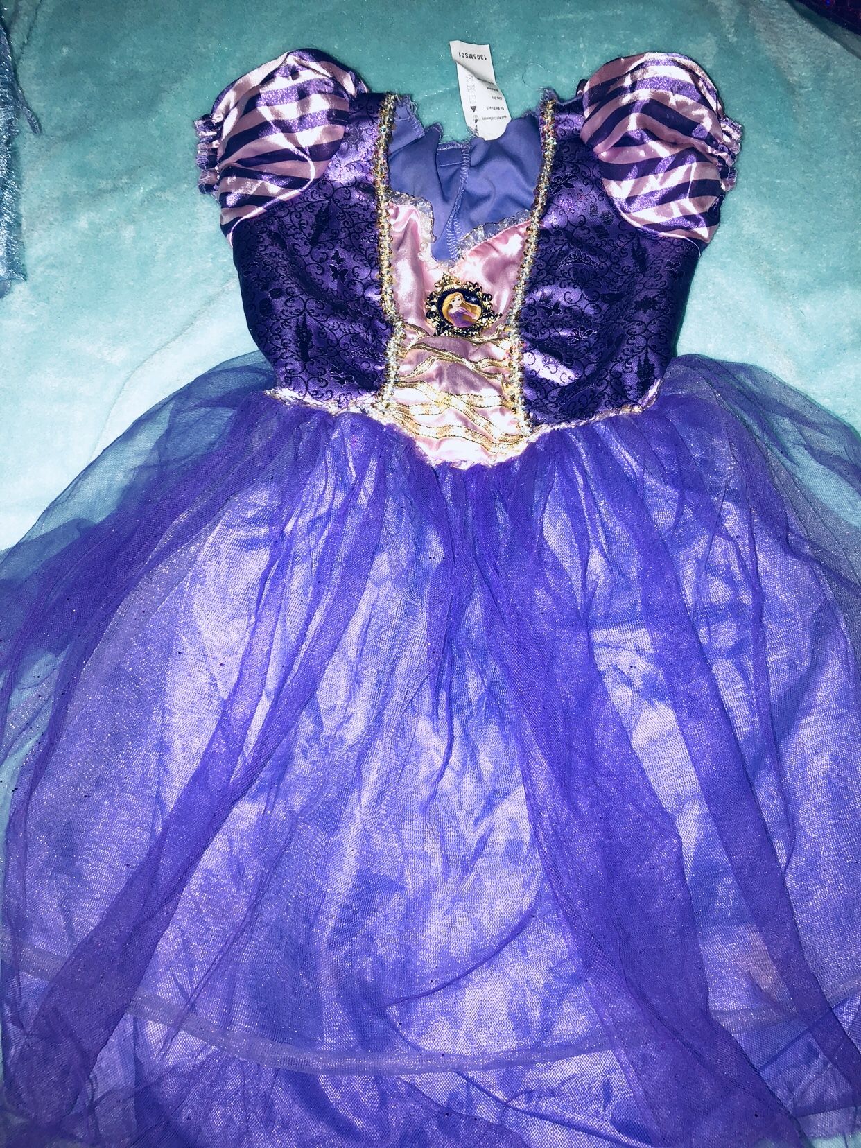 Rapunzel costume dress