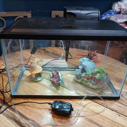 Inner changeable Tank (Fish, reptile, and more) 