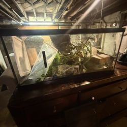 27 Gallon Reptile/Fish Tank With Reptile Accessories 