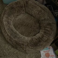 Pet Bed