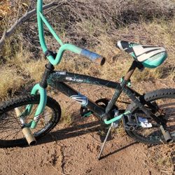 Kids Bike