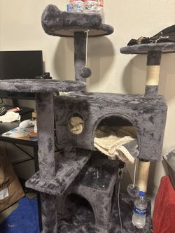 50 Inch Cat Tower Bundle