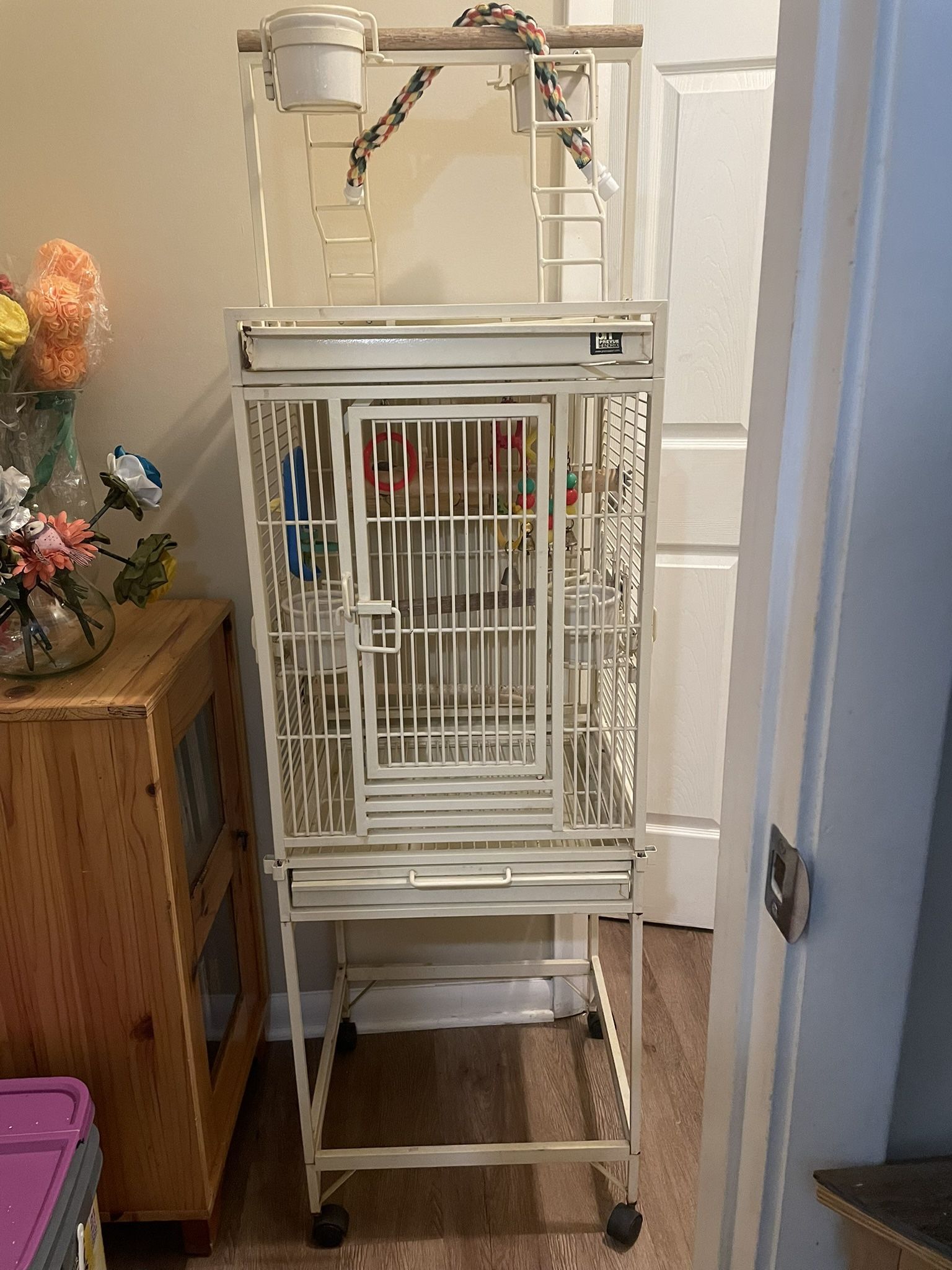 Bird Cage