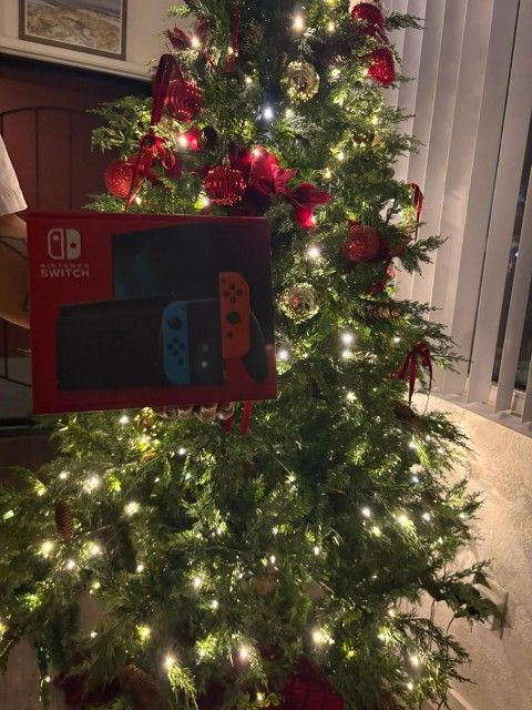 Nintendo Switch Brand New