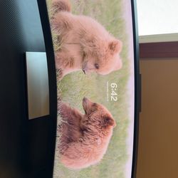 HP Series 5 Pro 34 inch Curved WQHD USB-C Conferencing Monitor