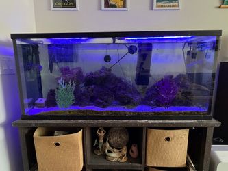 55 Gallon Tropical Aquarium Tank