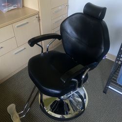 Artist Hair Stylist All Purpose Barber Chair 