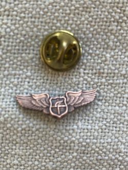 Vintage Military Wings Bronze Pin Wings Shield Globe