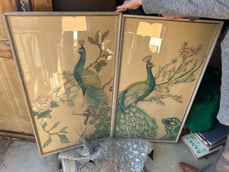 1970s Peacock watercolors
