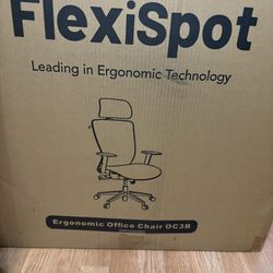 Flexispot Office Chair