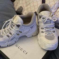 Gucci Sneaker Size 40