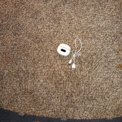 Blue Tooth Ear Buds.