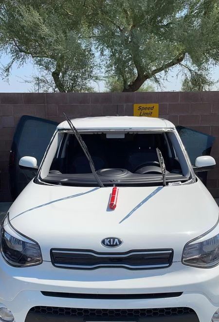 New Windshield 