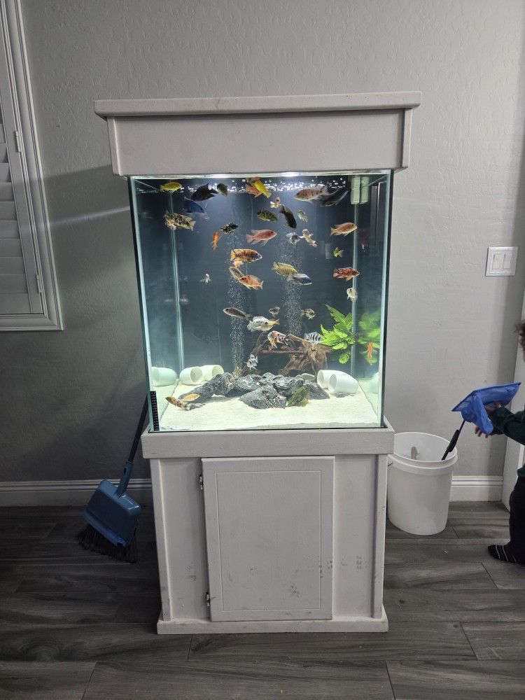 Fish Tank