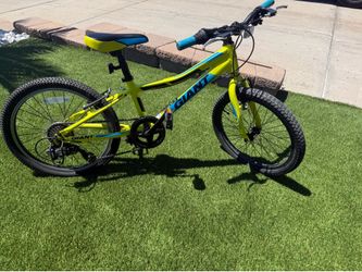 *delivery option* Giant XTC JR