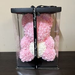 Light pink Teddy Bear Rose With Gift Box