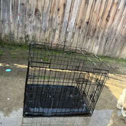 Dog Cage 