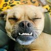 Edgar