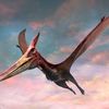 Pterodactylus