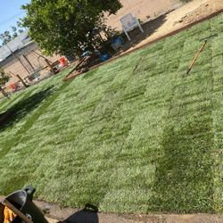 Fresh Sod!!! Installed!