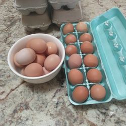 Fresh Eggs, Backyard Raised! First Come First Serve! While Supply Lasts.