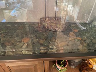 Fish/turtle tank