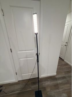 Floor lamp