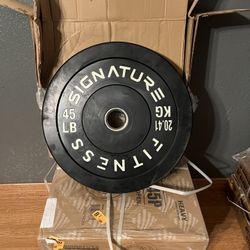 New Weight Plates