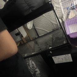 Reptile Tank