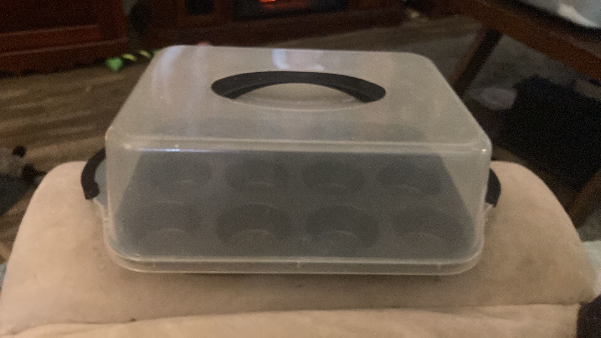 Cupcake tins with cover