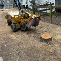 Stump Grinding 