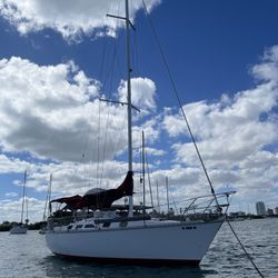 Hunter 333