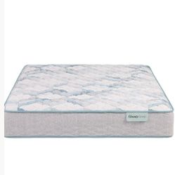 Queen Size Mattress 