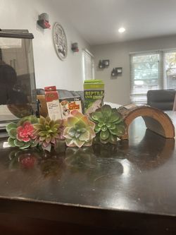 Reptile pet Accessories
