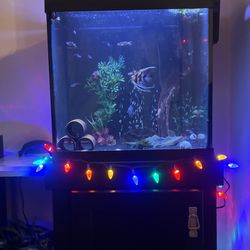 30 Gal Fish Tank With Stand And Fish 
