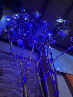 2 decorations tree branches 16 feet each $500 each