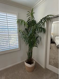 Fake Palm Tree 7 feet