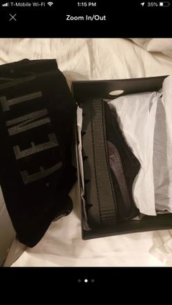 Puma creepers