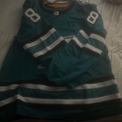 NHL Hockey shirts , Purple And Blue, 3X