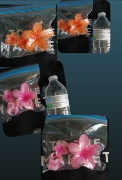 Hair Clips