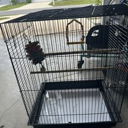 Bird Cage For Sale