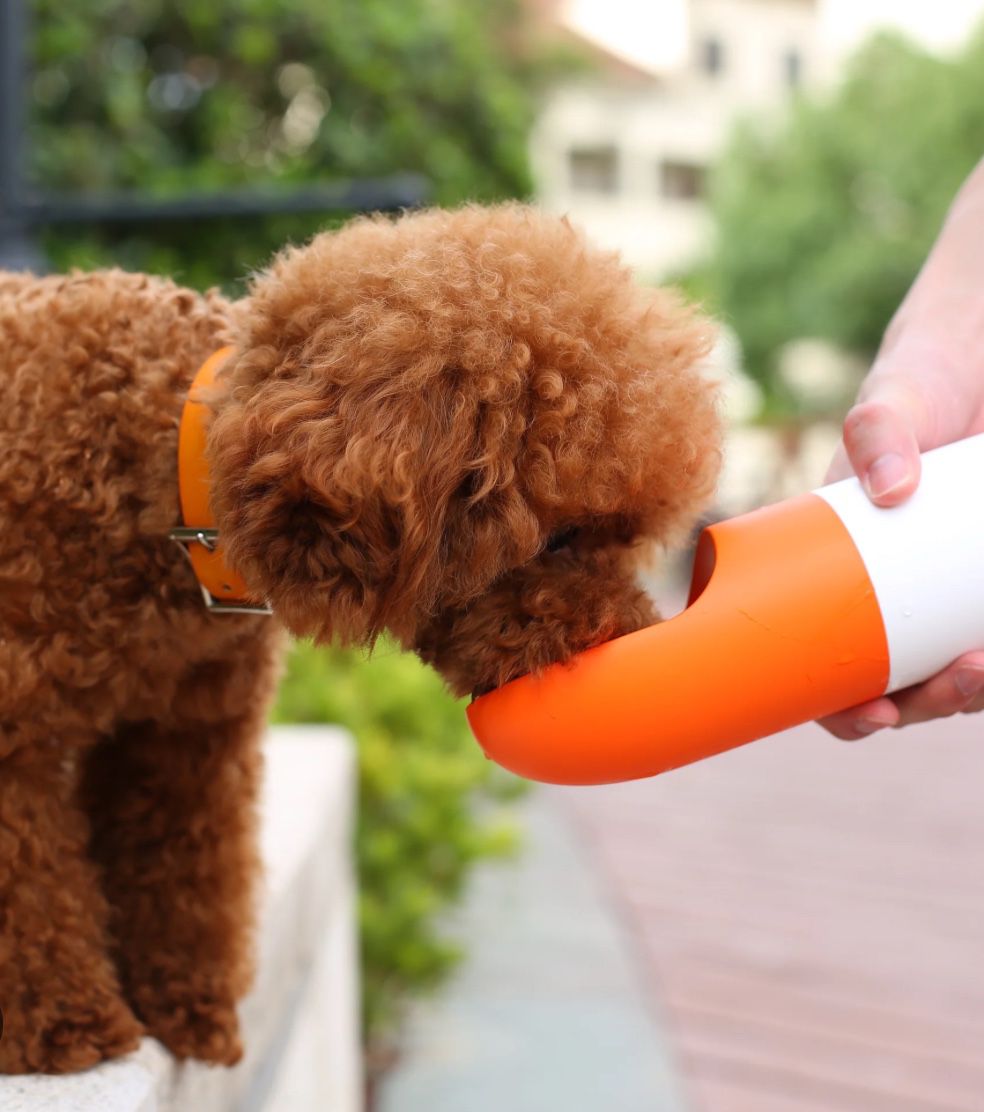 Pet Dog Multi Function Portable Water Food Bottle